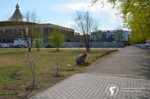 На территории музея посажены деревья и установлены стелы