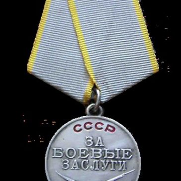 Боевые награды воинов-интернационалистов. Медаль «За боевые заслуги»