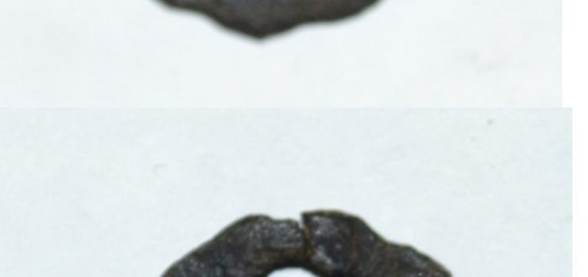 История одного предмета: Монета китайская Канси тубао (ХVI в.)