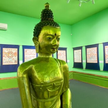 В Кызыле открылась выставка «Атлас тибетской медицины»