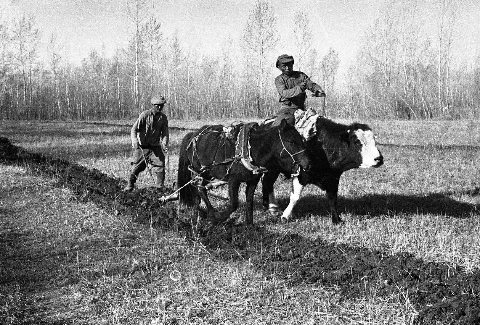 Черно белое тыва. Черно-белая Тува. Чёрно белая Тыва. Черное и белое Тыва. Черно-белая Тува фотоальбом.