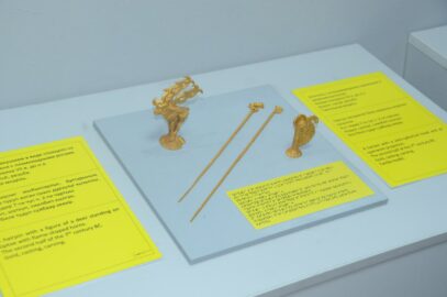 Открытие выставки «Тактильное путешествие в мир скифов»