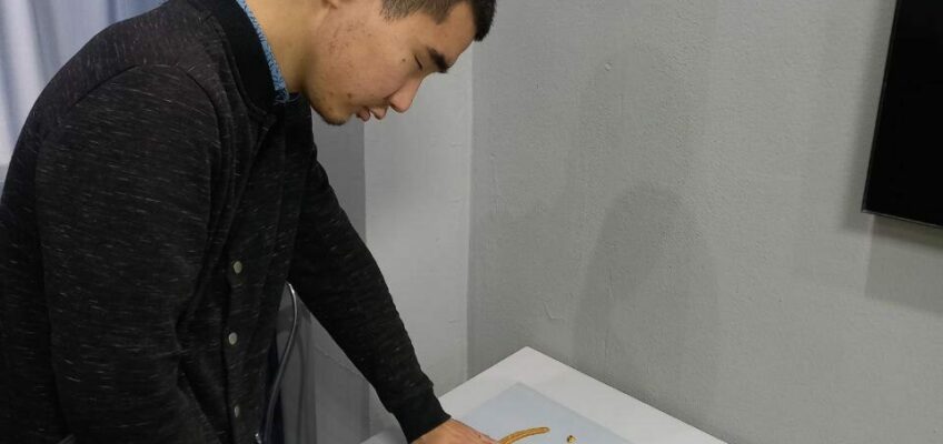 Можно трогать! Можно исследовать! Можно почувствовать руками!